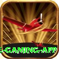 betandyou88.pk Ultimate Gaming App